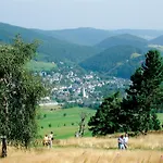 Upland - Waldgeist *
